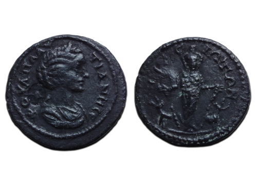 Plautilla -  Artemis Acrasus ZELDZAAM (JA2697)