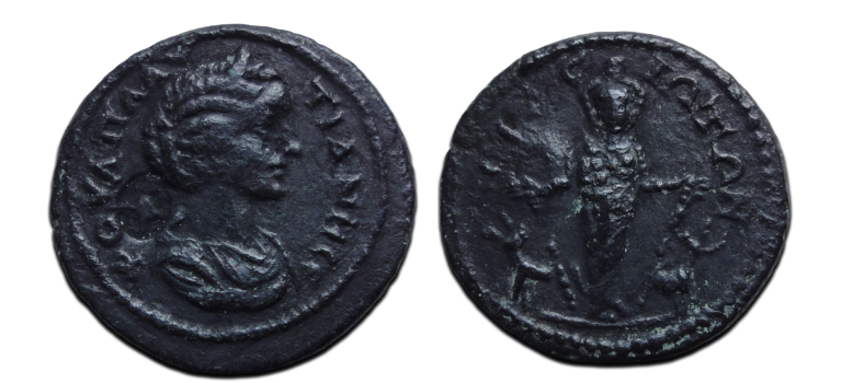 Plautilla -  Artemis Acrasus ZELDZAAM (JA2697)