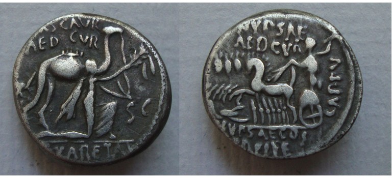 Roman republic - denarius king Aretas with camel 58 BC (JUL2259) Roman republic - denarius king Aretas with camel 58 BC (JUL2259)