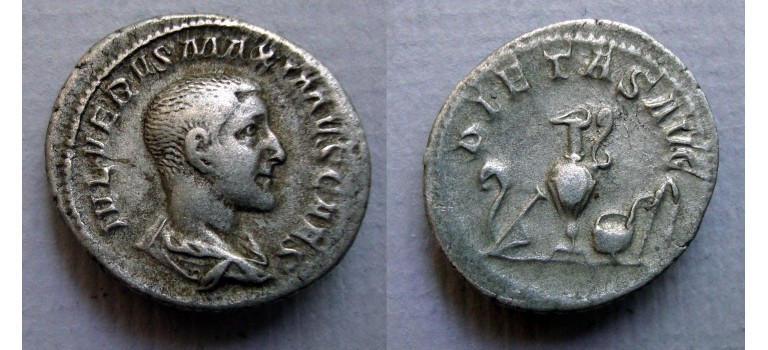 Maximus - denarius PIETAS zeldzaam (JUL2263)