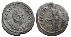 Salonina - IVNO REGINA verzilverd ! (JUL2676)