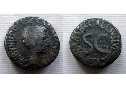 Augustus - Muntmeester uitgave Gallius Lupercus (JUN22103)