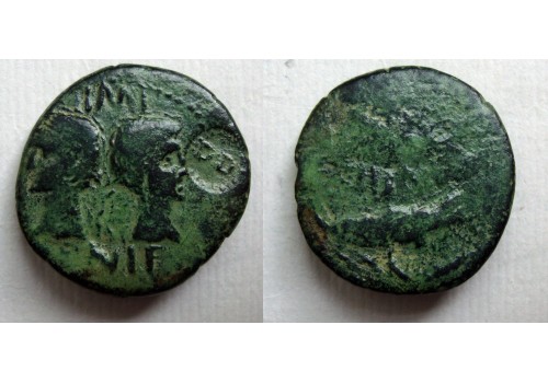 Augustus en Agrippa Dupondius - Krokodil met interessante klop!  (JUN22131)
