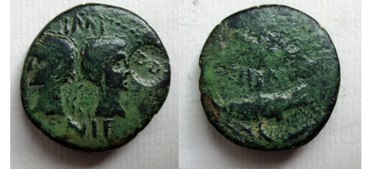 Augustus en Agrippa Dupondius - Krokodil met interessante klop!  (JUN22131)
