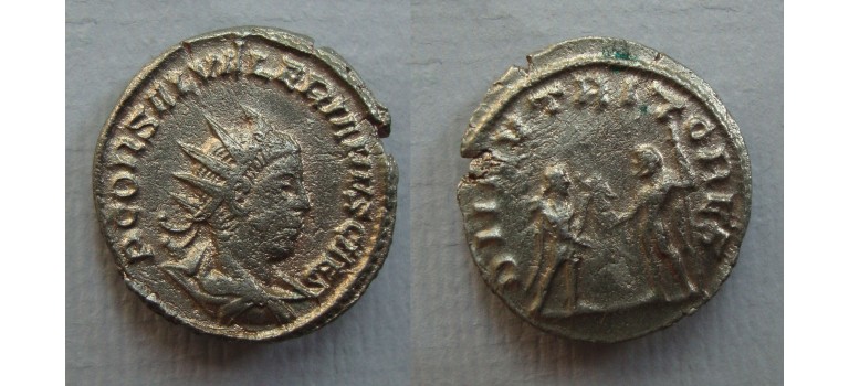 Saloninus  - Rare legend! (JUN2255)