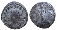 Probus- FELICIT TEMP extremely fine! (JUN25110)