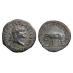 Titus - denarius Olifant geslagen ter viering van het Colosseum! (JUN2623)