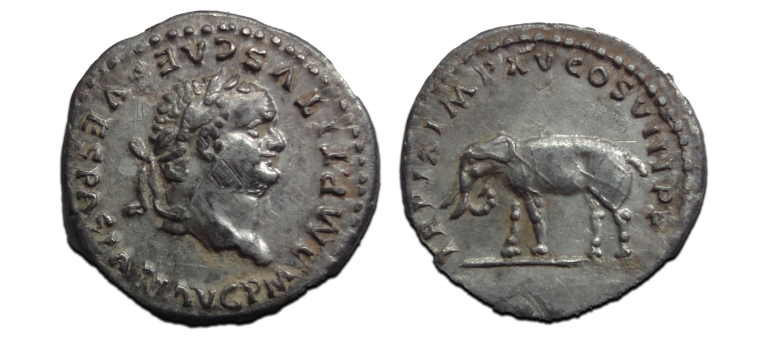 Titus - denarius Olifant geslagen ter viering van het Colosseum! (JUN2623) Titus - denarius Olifant geslagen ter viering van het Colosseum! (JUN2623)