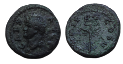 Domitianus - quadrans caduceus zeldzaam! (JUN2669)