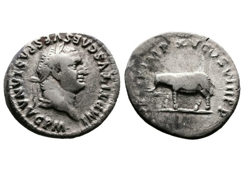 Titus - denarius Elephant! (MA2547)