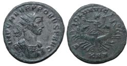 Probus -  Sol in vierspan  (MA2615)