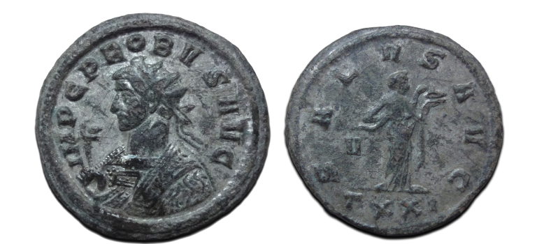 Probus -  Salvs Avg EQVITI-serie (MA2618)