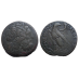Ptolemaeus III Tetrobool grote en zeer zware munt uit 246-222 v Chr 50 gr! (ME2510)
