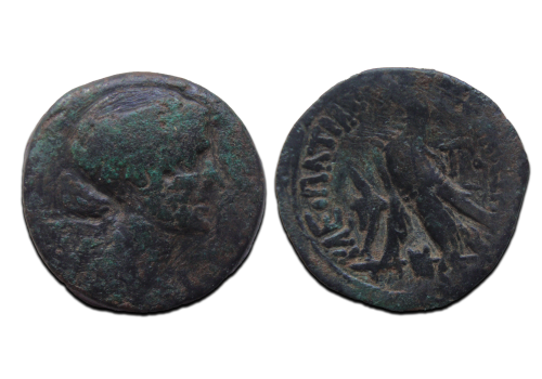 Cleopatra - Adelaar zeldzaam! (ME2589)