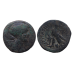 Cleopatra - Eagle rare (ME2589)
