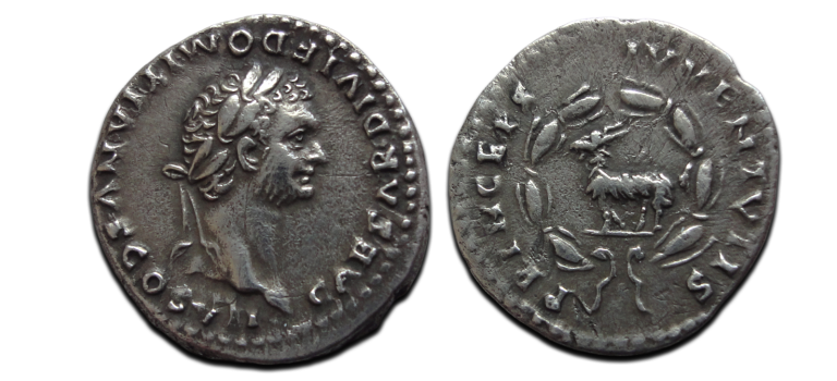 Domitianus - Princeps Ivvenvtis geit denarius (ME2617)