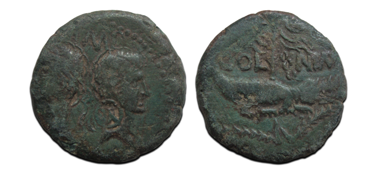 Augustus and Agrippa AS crocodile dupondius SCARCE (D2503) Augustus and Agrippa AS crocodile dupondius SCARCE (D2503)