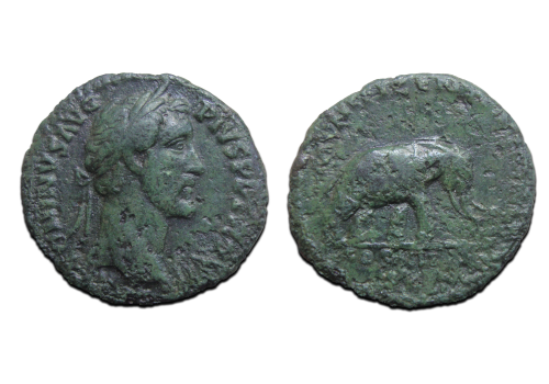 Antoninus Pius- AS olifant schaars (N2530) Antoninus Pius- AS olifant schaars (N2530)