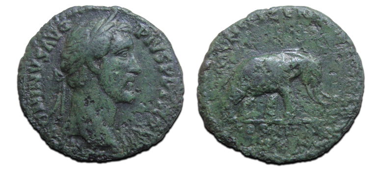 Antoninus Pius- AS elephant scarce (N2530)