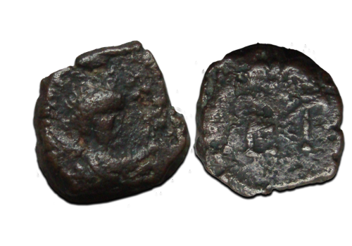 Baduila - Koning van de Ostrogothen zeer zeldzaam! (N2562) Baduila - Koning van de Ostrogothen zeer zeldzaam! (N2562)