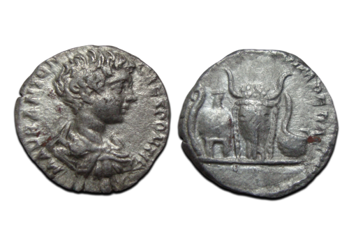 Caracalla-  Denarius DESTINATO IMPERAT laatste uitgave als CAESAR! (N2585))