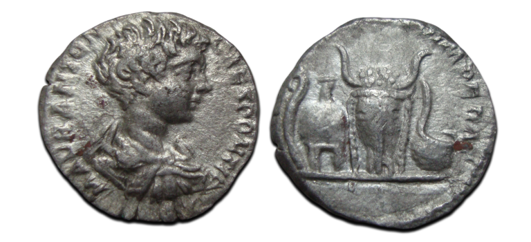 Caracalla-  Denarius DESTINATO IMPERAT laatste uitgave als CAESAR! (N2585))