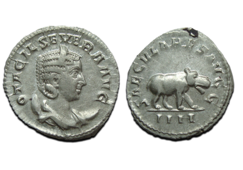 Otacilia Severa - NIJLPAARD prachtig! (O25114)