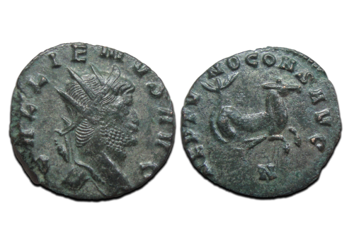 Gallienus -  Zeepaardje  'Zoo-serie' (O2571)