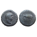 Titus - denarius Olifant geslagen ter viering van het Colosseum! (O2614)