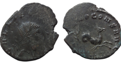 Gallienus -  Zeepaardje  'Zoo-serie' (O2628)