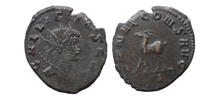 Gallienus - Gazelle Zoo-serie (O2629)