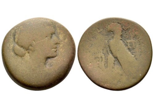 Cleopatra - Adelaar zeldzaam! (S2524)