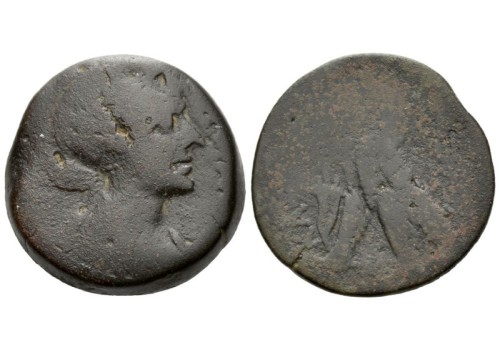 Cleopatra - Adelaar zeldzaam! (S2536)