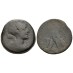 Cleopatra - Adelaar zeldzaam! (S2536)