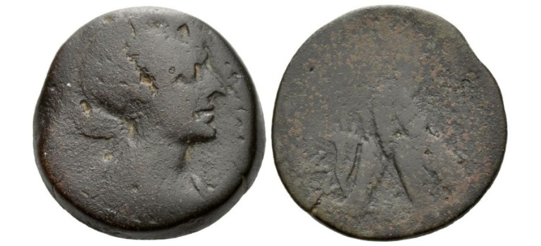 Cleopatra - Adelaar zeldzaam! (S2536)