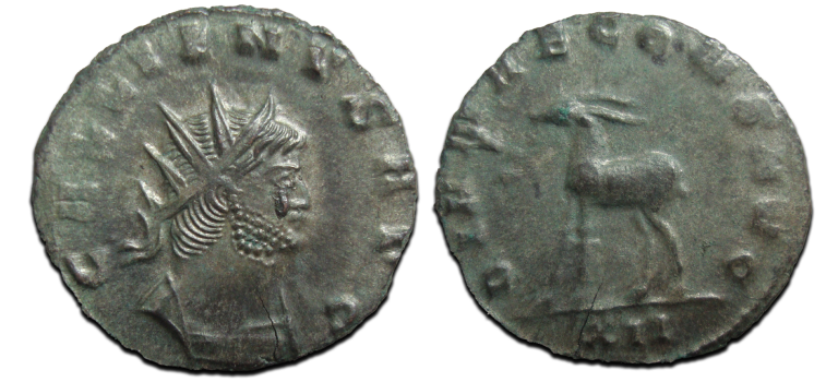 Gallienus-  Antilope 'Zoo-serie' (S2587)