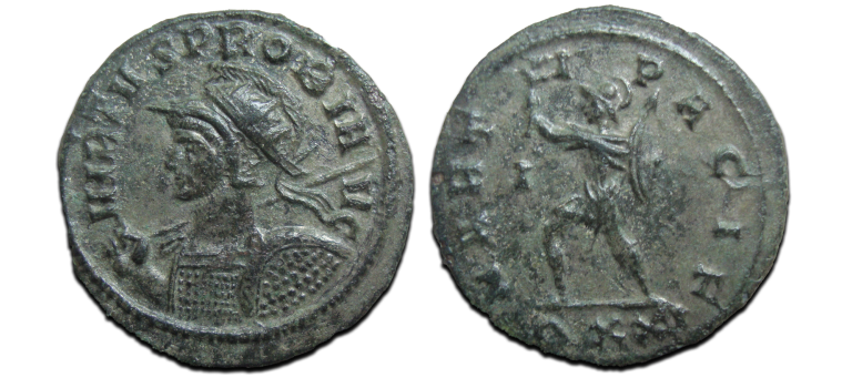 Probus- MARTI PACIF (S2590)