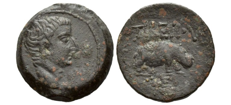 Tiberius - de eerste afbeelding van een nijlpaard in de numismatiek!  (S2598)