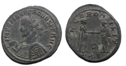 Probus -  CONCORD MILIT zeldzame buste (S2644)