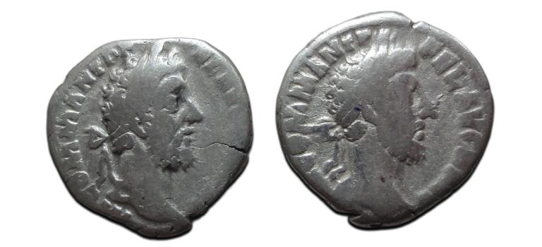 Aanbieding - 2x Commodus (S2669) Aanbieding - 2x Commodus (S2669)