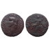 Caligula AS -  VESTA (S2670)