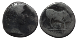 Augustus - denarius stier naar rechts (S2671)