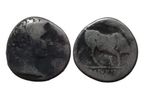 Augustus - denarius stier naar rechts (S2671) Augustus - denarius stier naar rechts (S2671)
