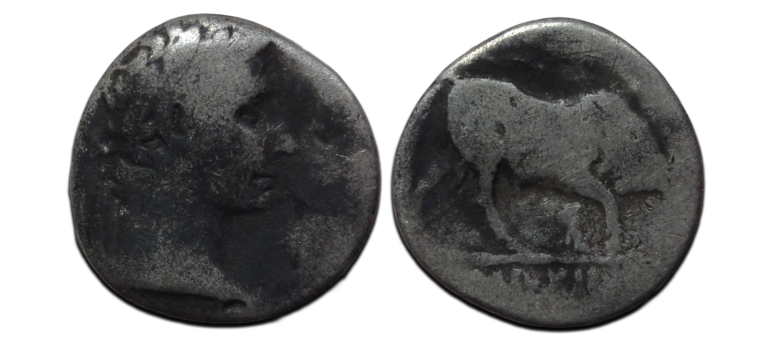 Augustus - Bull denarius very rare (S2671) Augustus - Bull denarius very rare (S2671)