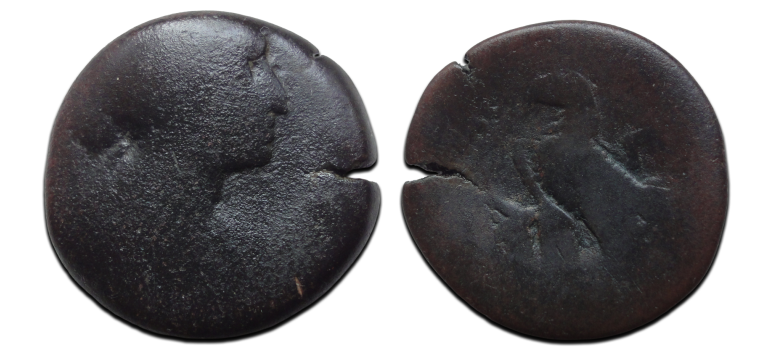 Cleopatra - Adelaar zeldzaam! (F2515) Cleopatra - Adelaar zeldzaam! (F2515)