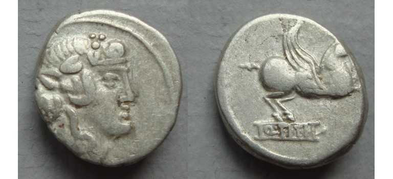 Romeinse republiek - denarius Q. Titius Pegasus 90 v. Chr. (AP2203)