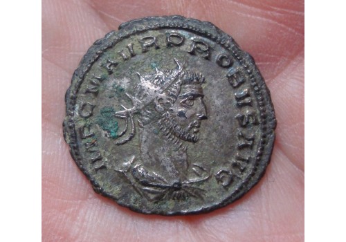 Probus -  Clementia Temp! silvered (A101)