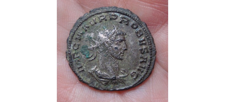 Probus -  Clementia Temp! silvered (A101)