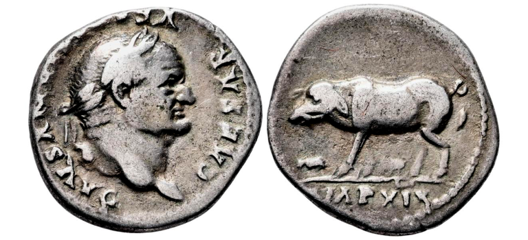 Vespasianus - zeug met biggetjes, mooi verhaal! (S2651) Vespasianus - zeug met biggetjes, mooi verhaal! (S2651)