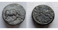 Domitianus - Quadrans Neushoorn populair type! (F22107)